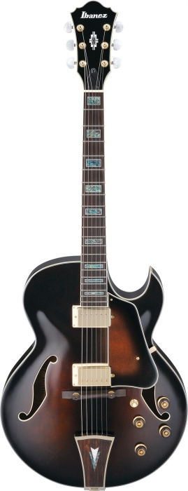 Ibanez AK95 DVS elektrick kytara