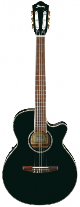 Ibanez AEG10NE BK