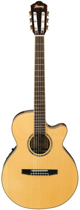 Ibanez AEG10NE NT