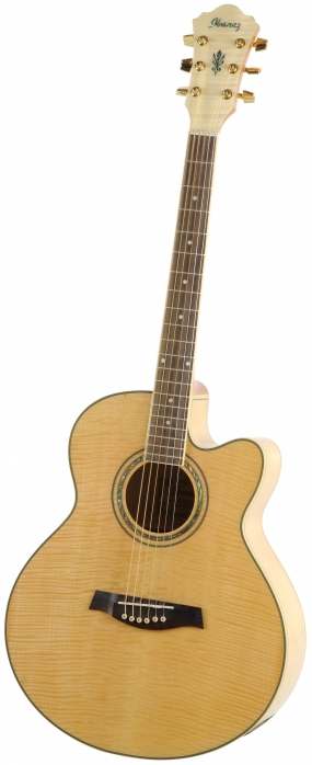 Ibanez AEL 20 E NT elektricko-akustick kytara