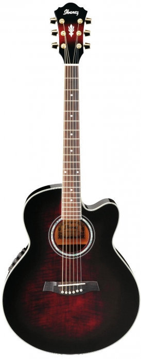 Ibanez AEL20E TCS elektricko-akustick kytara