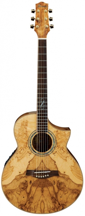 Ibanez EW35 ABE NT Exotic Wood elektricko-akustick kytara