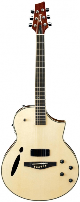 Ibanez MSC350 NT MONTAGE elektricko-akustick kytara