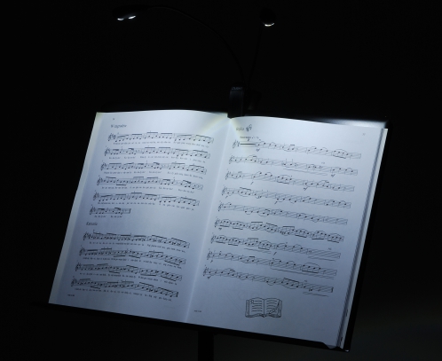 MLight Duet 2 - 2LEDx2 Flex lampka diodowa (baterie/zasilacz)