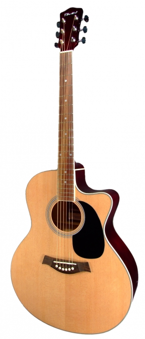 T.Burton Riverside J C N akustická kytara T.Burton Riverside J C N akustická kytara