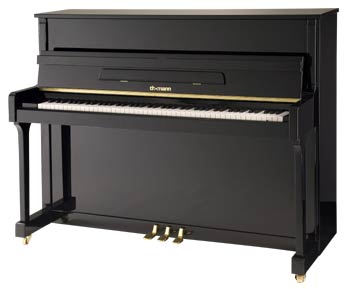 AN T.Piano Up 113 piano