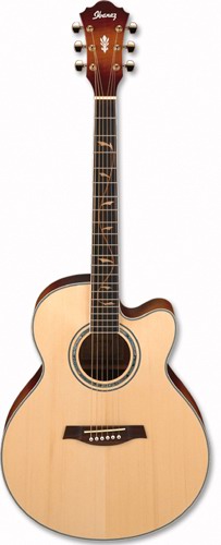 Ibanez AEL40S DVS elektricko-akustick kytara