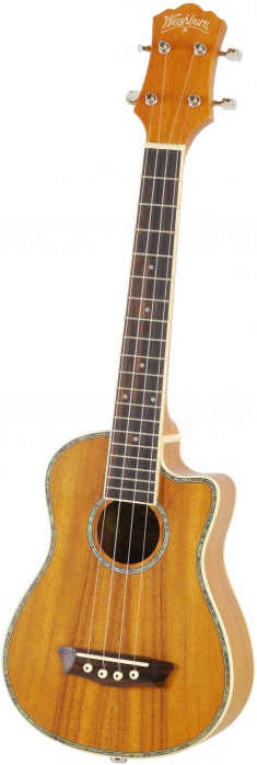 Washburn U50 LCE N