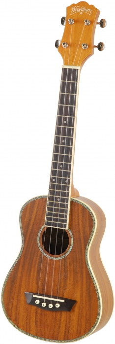 Washburn U50 N