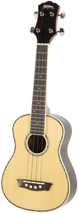 Washburn U30 N