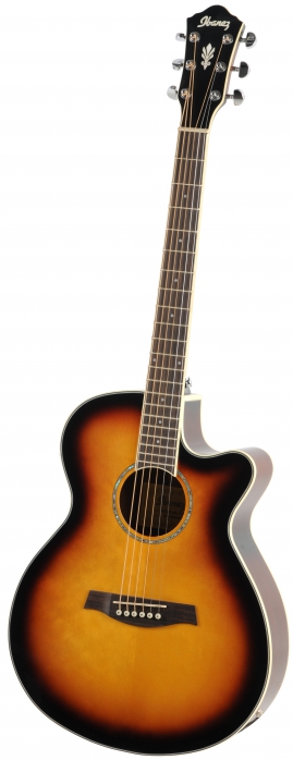 Ibanez AEG 10 II VS elektricko-akustick kytara
