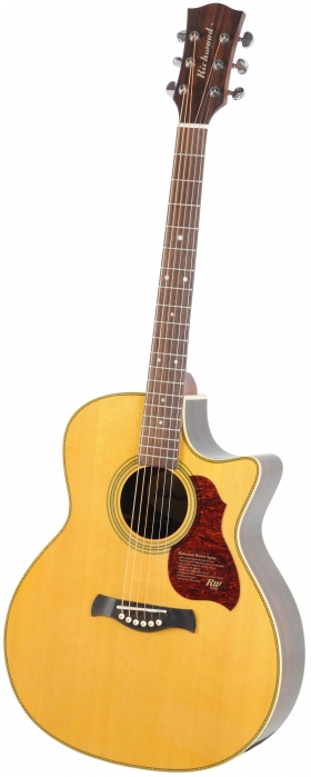 Richwood G-65 CE VA elektricko-akustick kytara