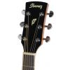 Ibanez PF 17 ECE LG elektricko-akustick kytara