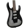 Ibanez RG 450 EX MSS elektrick kytara