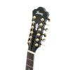 Ibanez AEL 2012 E TKS elektricko-akustick kytara
