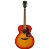 Ibanez SGT 430 E SC akustick kytara