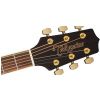 Takamine GD51 NAT akustick kytara