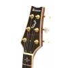 Ibanez ARC500-NT elektrick kytara