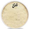 Evans TT16C7 blna na buben