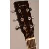 Tenson 501322 elektricko-akustick kytara
