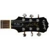 Epiphone Les Paul Standard Plus TA elektrick� kytara