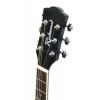 Richwood RD12CE BK elektricko-akustick� kytara
