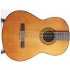 Takamine G116 klasick kytara