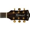 Richwood RD22 CE elektricko-akustick kytara