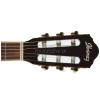 Ibanez AEG10N-ENT