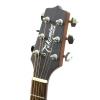Takamine EG220NS akustick kytara
