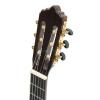 Baton Rouge LM5 S klasick kytara