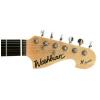 Washburn X10 QVS elektrick kytara