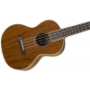 Fender Rincon Ovangkol Nat Wb