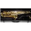 Stagg 77ST tenorov saxofon