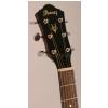 Ibanez V70 NT akustick kytara