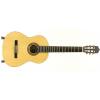 Baton Rouge LM5 SM58 klasick kytara