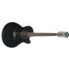 Ibanez AEL 2012 E TKS elektricko-akustick kytara