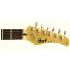 Cort G250-2T elektrick kytara