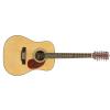 Burton W-24/N-12 akustick kytara
