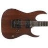 Ibanez RG-321MH-MO elektrick� kytara