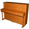 AN T.Piano Up 113 piano