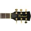Richwood RE125 TS elektrick� kytara