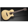 Framus FG 14 SV - Vintage Transparent High Polish Natural Tinted + EQ