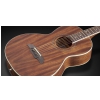 Framus FP 14 M - Natural Transparent Satin