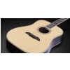 Framus FD 28 JN SR VSNT  - Jorg Nassler Signature - Vintage Transparent Satin Natural Tinted