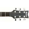Ibanez AXS32DRF elektrick kytara