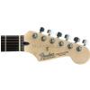 Fender Standard Stratocaster RW Brown Sunburst elektrick kytara