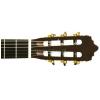 Baton Rouge LM5 SM58 klasick kytara