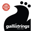 Galli Gr95