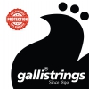 Galli Ls-10
